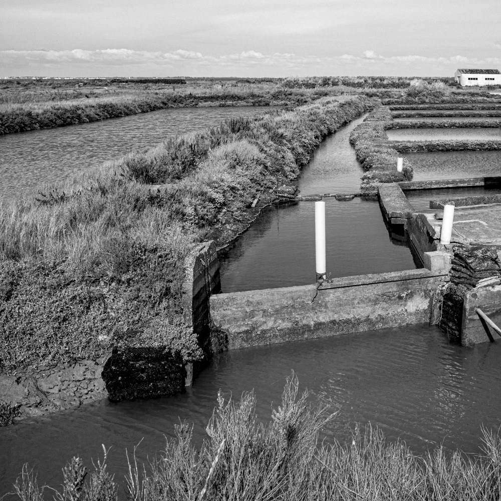 Image n° Marine B&W / Ports Oléron 01