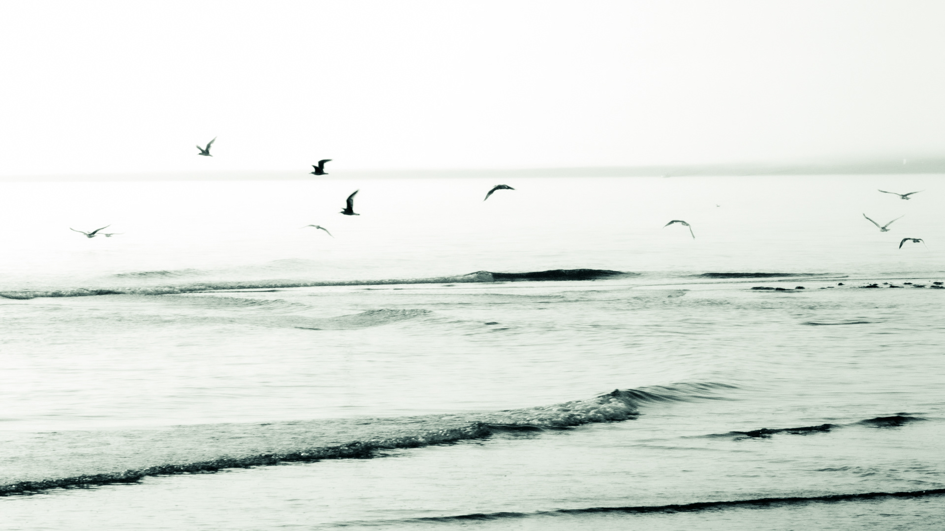 Image n° Marine B&W / Le Douhet Oleron 03