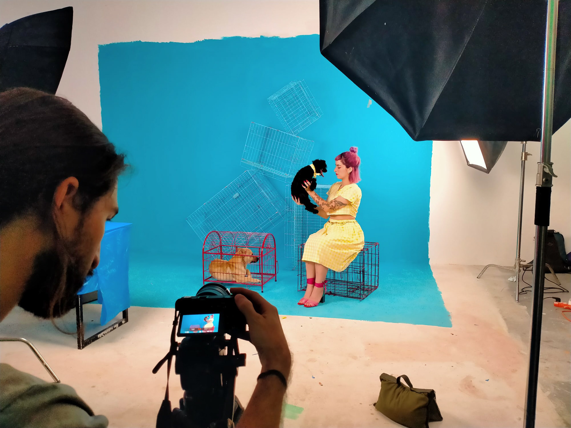 Filming the Tova music video "Losing the Fight"