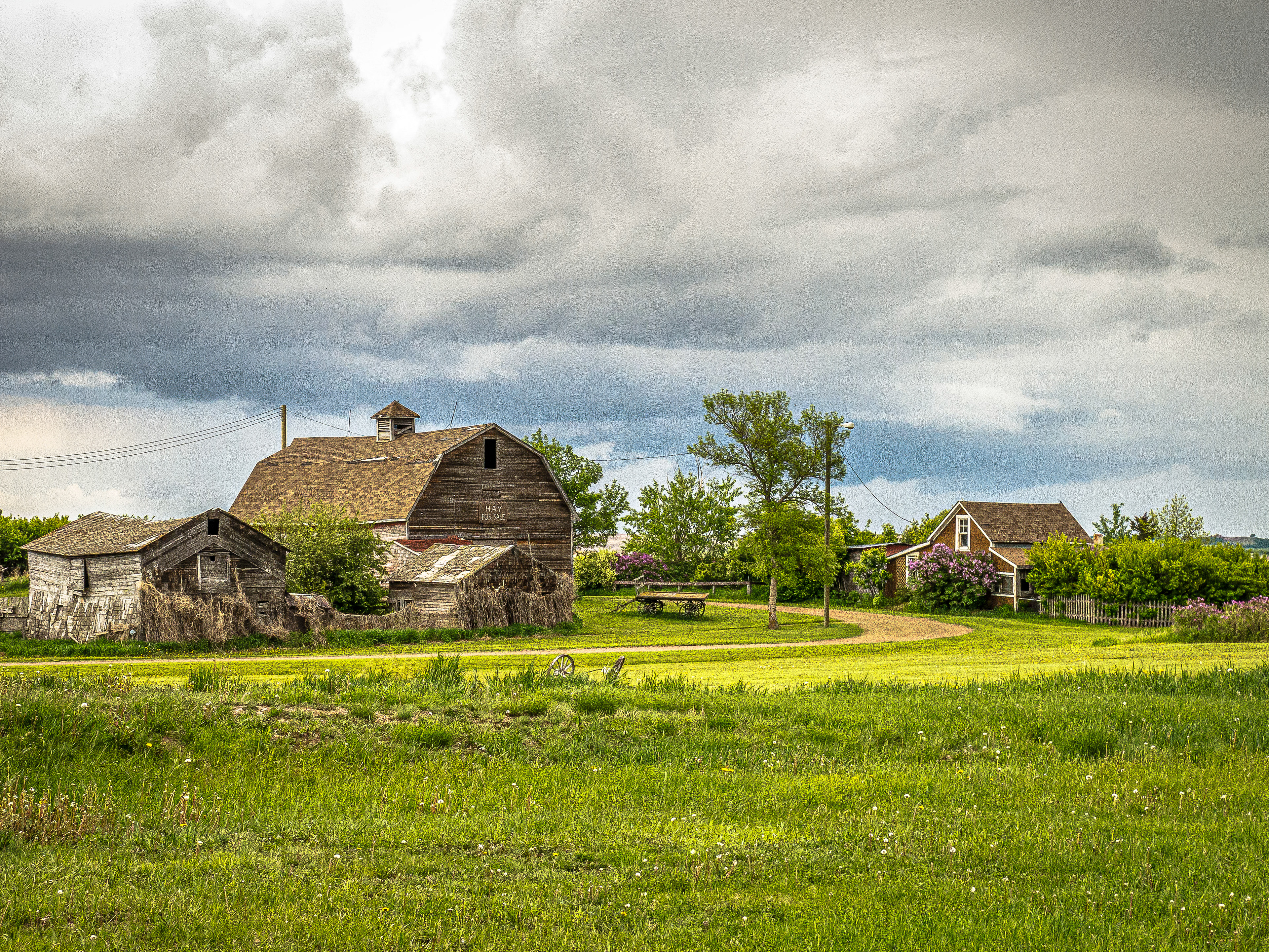 Rowley, Alberta