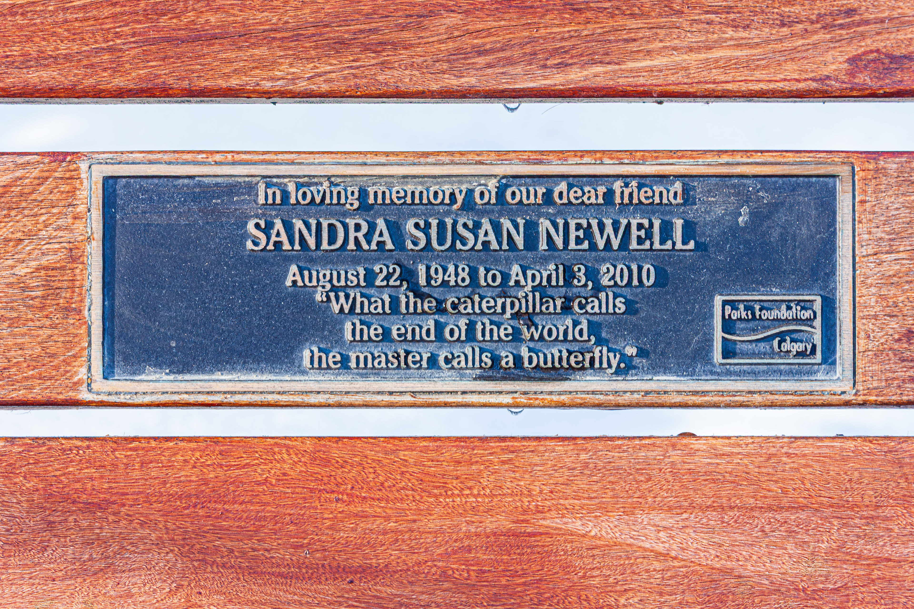 Carburn Park Memorial Bench