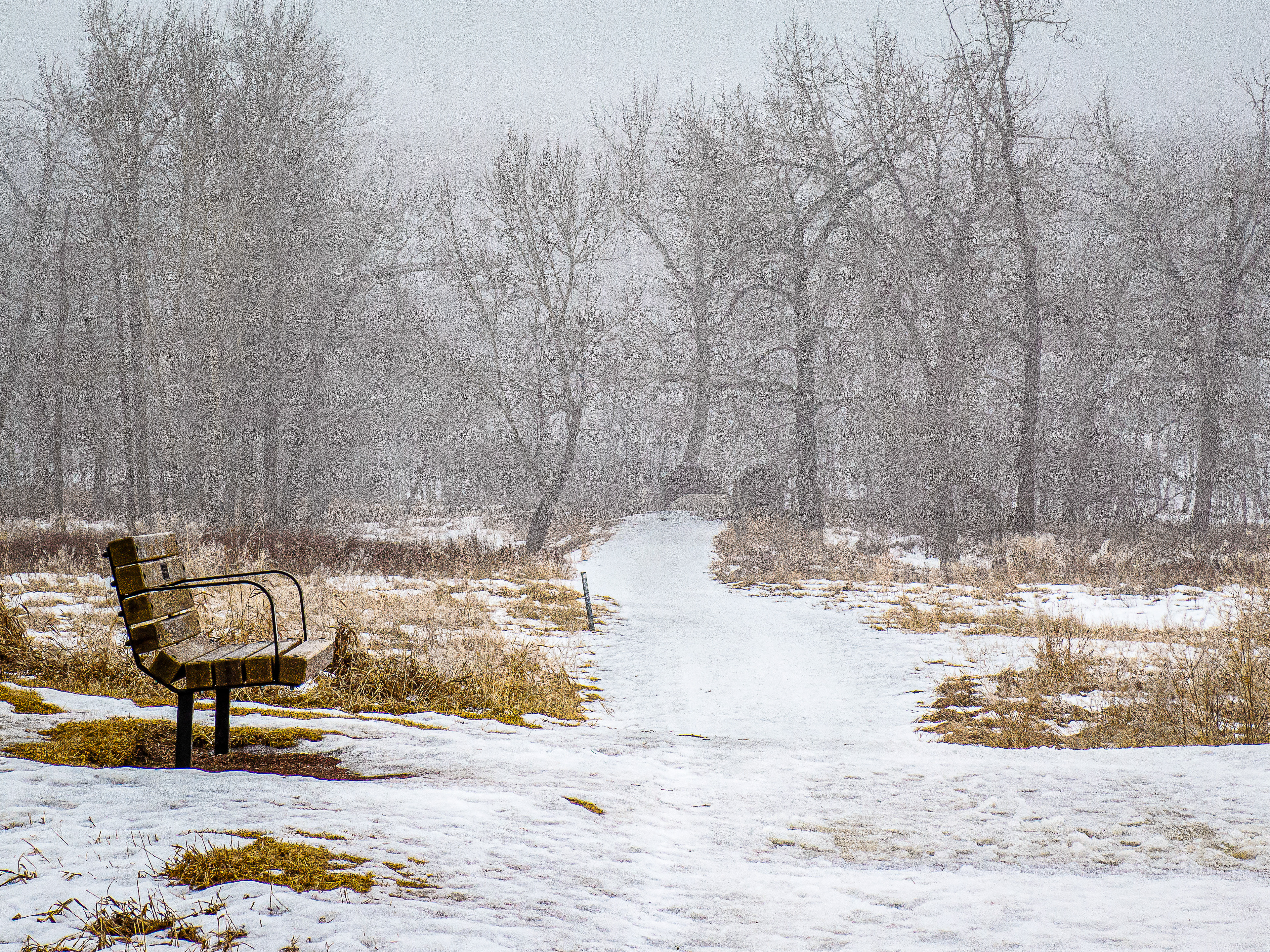 Bow Valley Ranch, Calgary