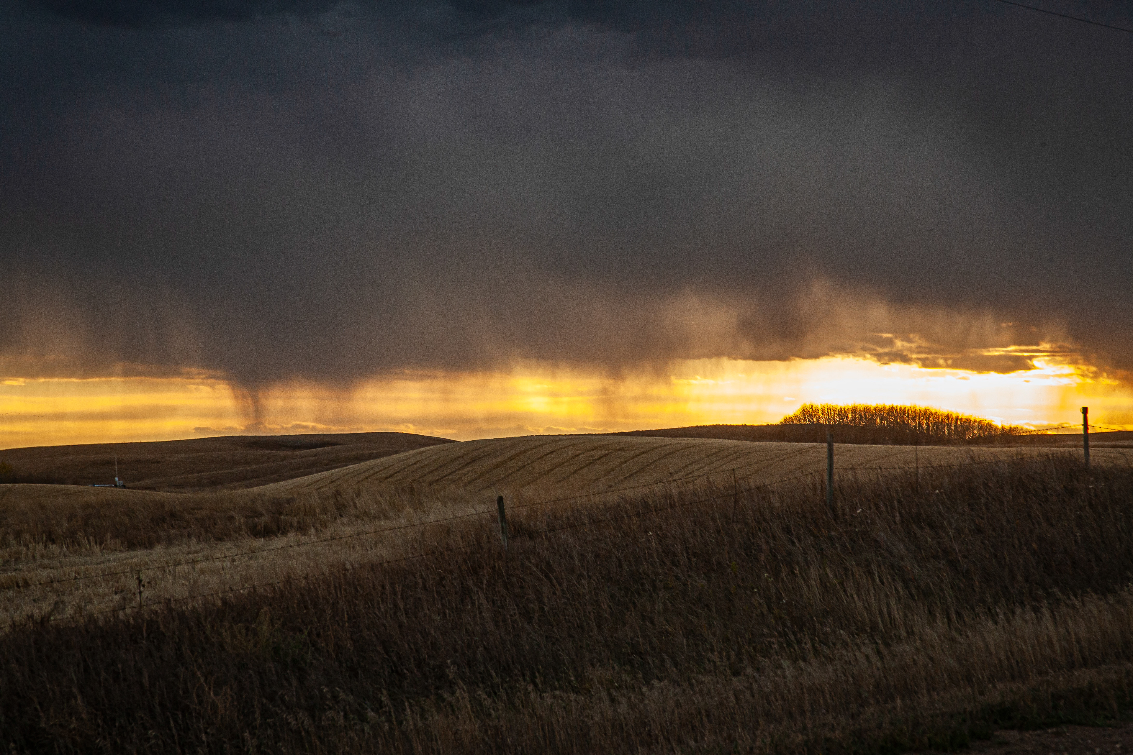 Rainstorm near Rowley, Alberta