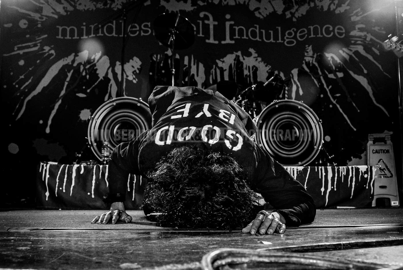 Mindless Self Indulgence 