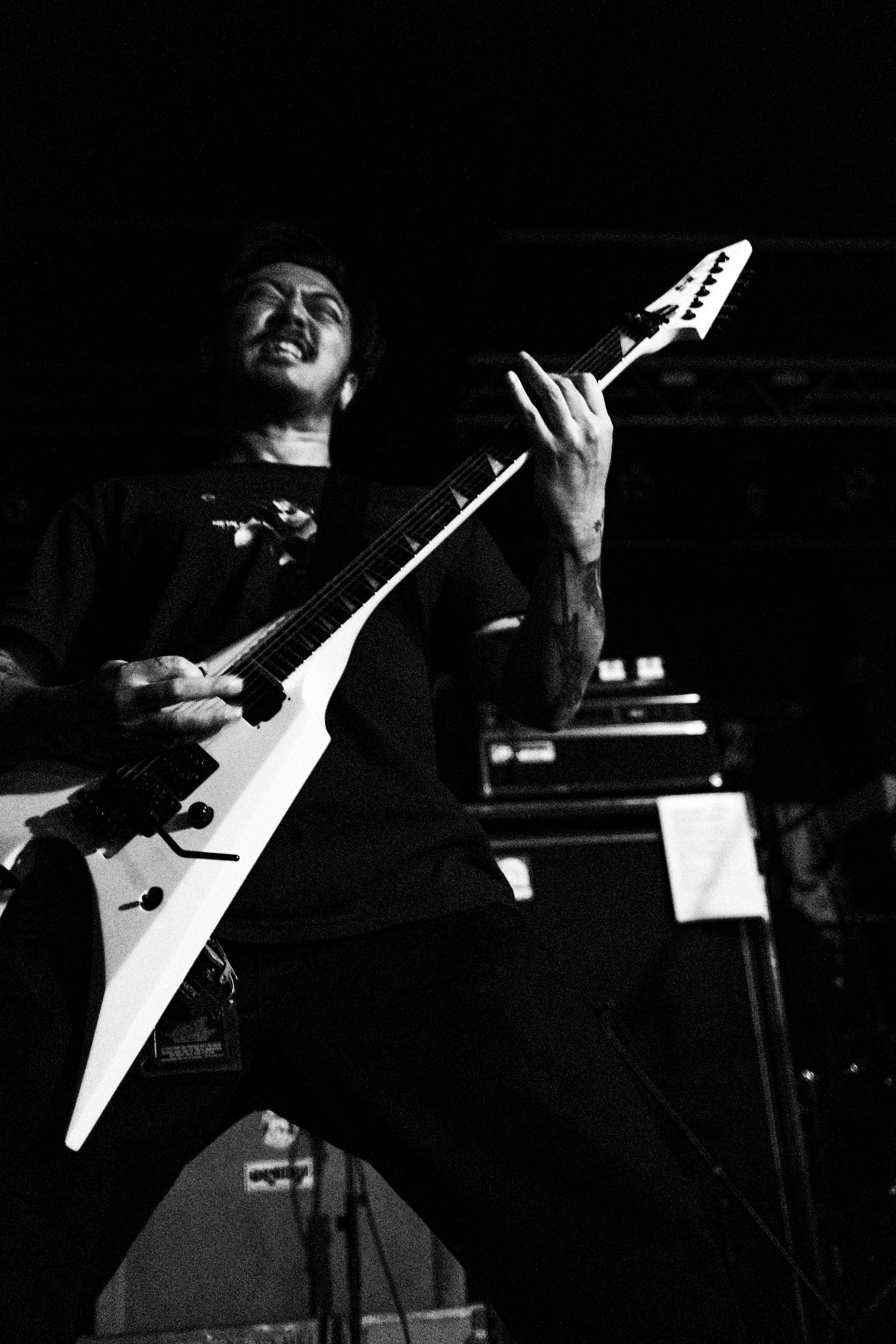 Wormrot in Sheffield