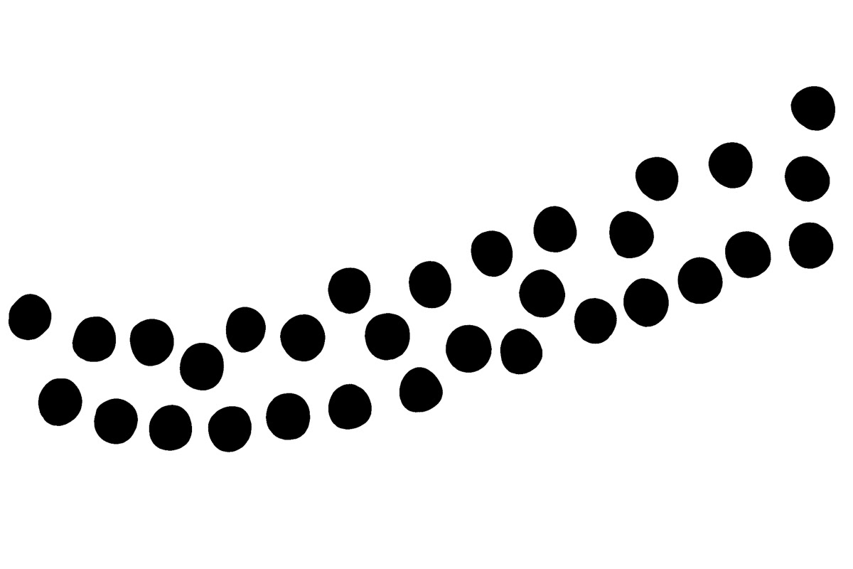 toad spawn