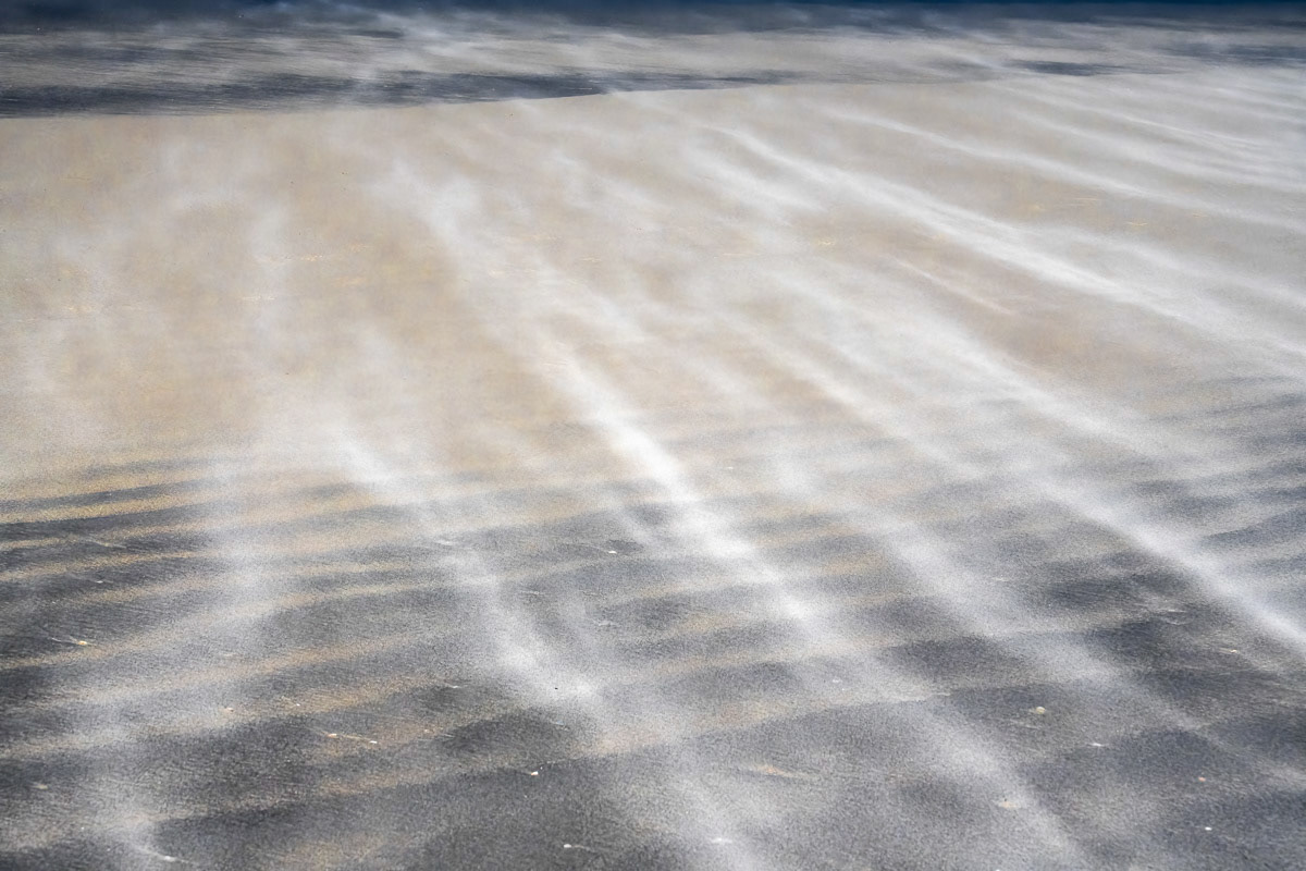 drifting sand schiermonnikoog