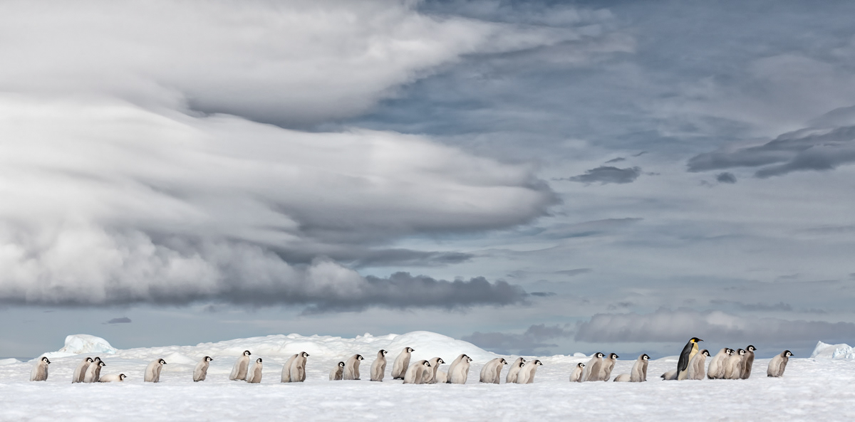 2019: Highly Honored in Nature’s Best Photography Windland Smith Rice International Awards