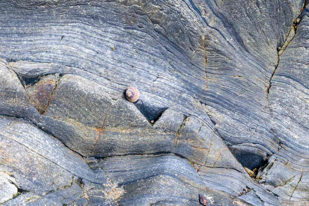 triangels and a snail