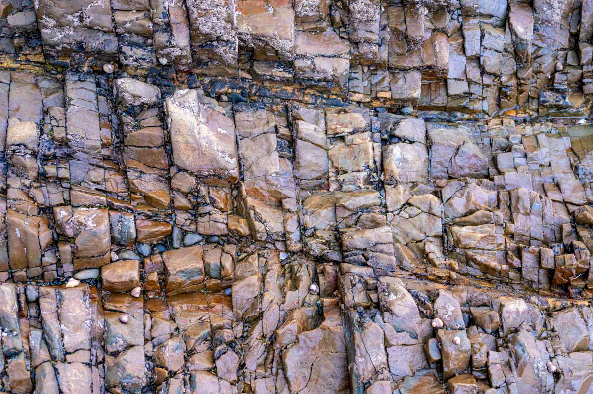colorful flysch