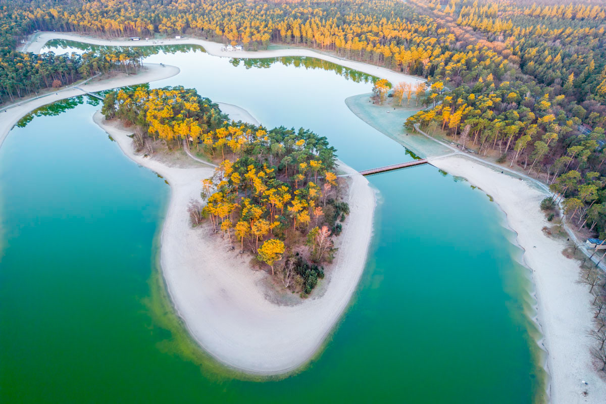 the forest and the lake