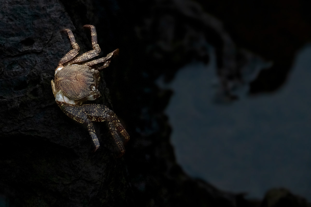 staring into the abyss