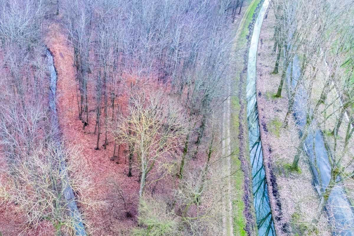 the road, the ditch and the forest