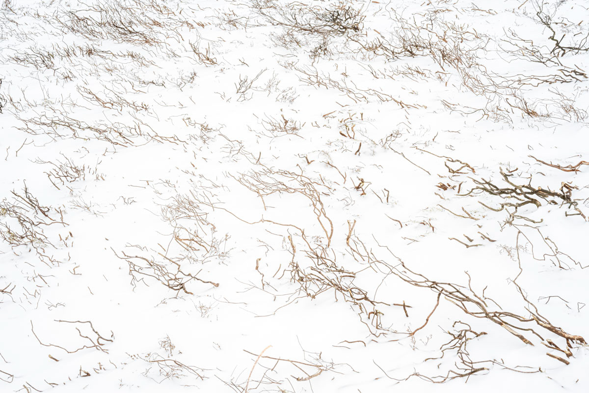 strong eastern winds and snow drift