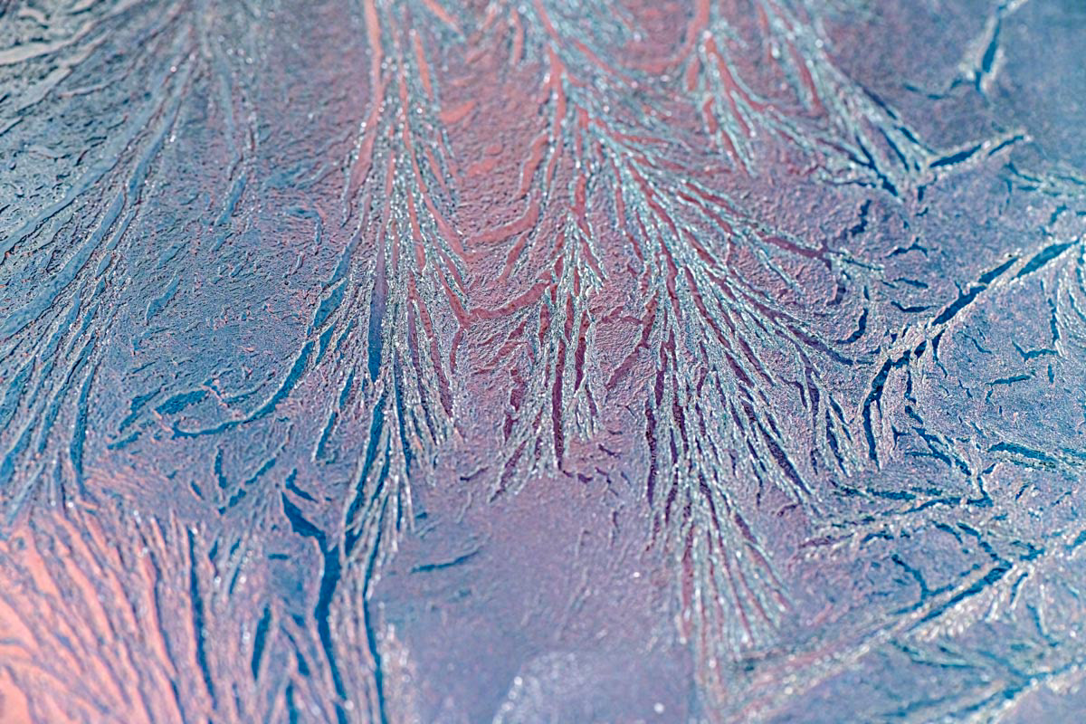 frost flowers