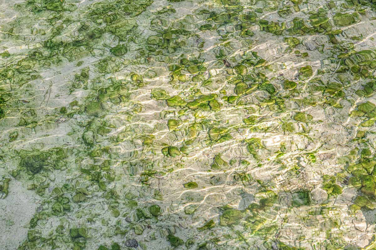 the bottom of the pond