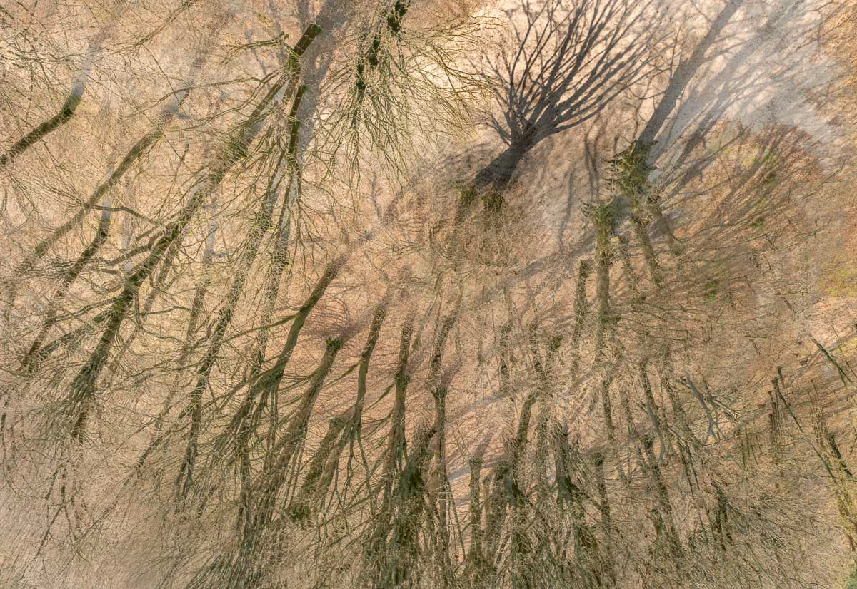 drone dream in (multiple exposure in winter)