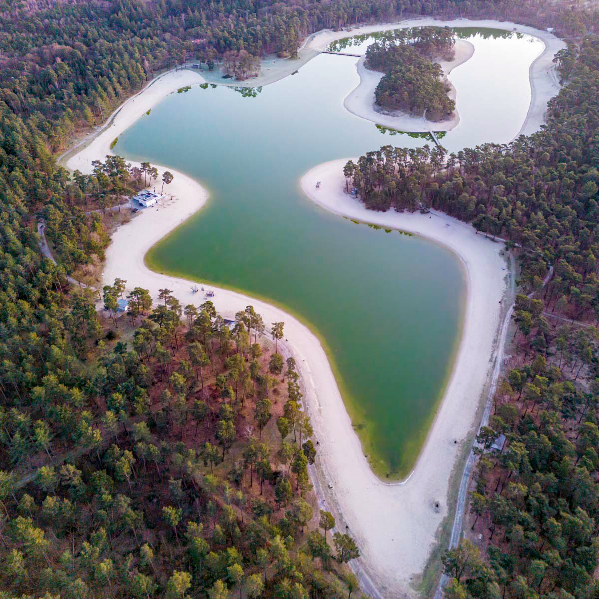 the forest and the lake