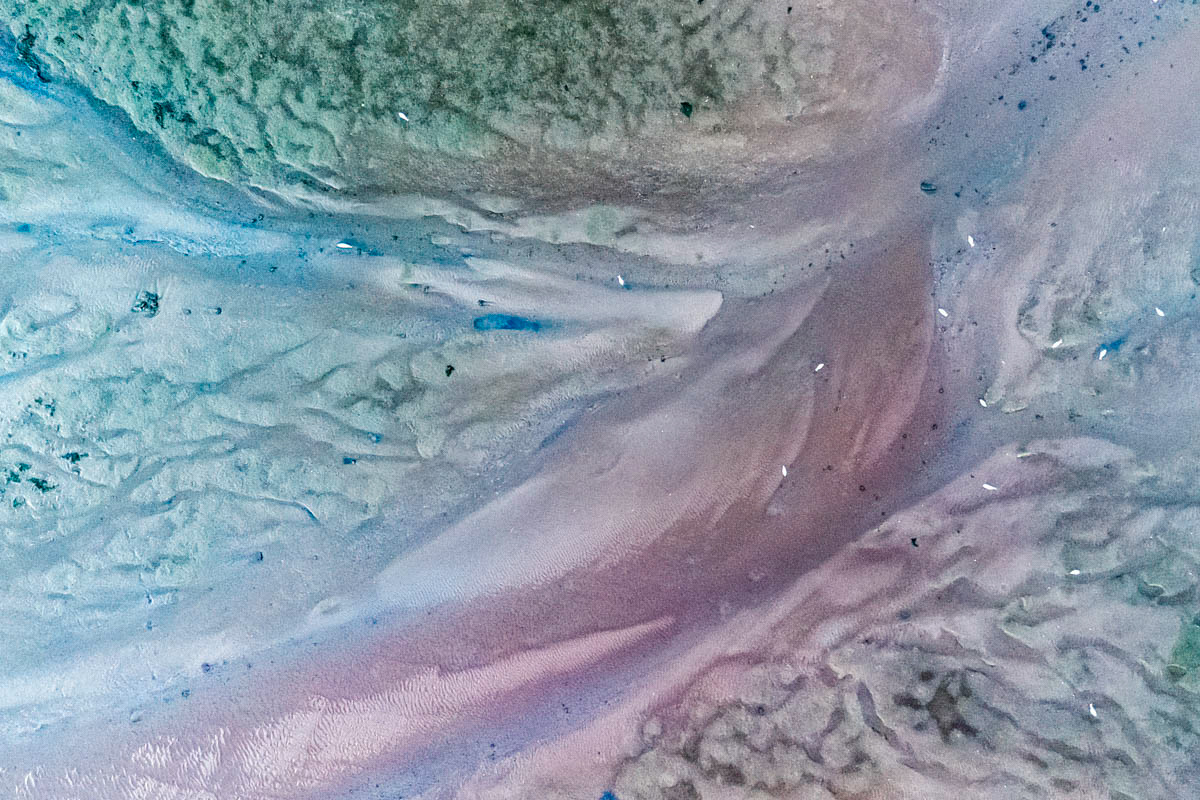 dried up river bed (low tide) and gulls