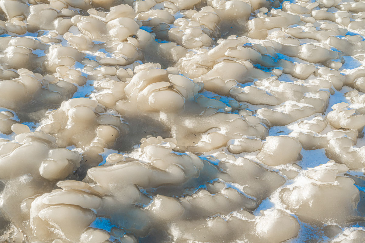weird ice structures ashore