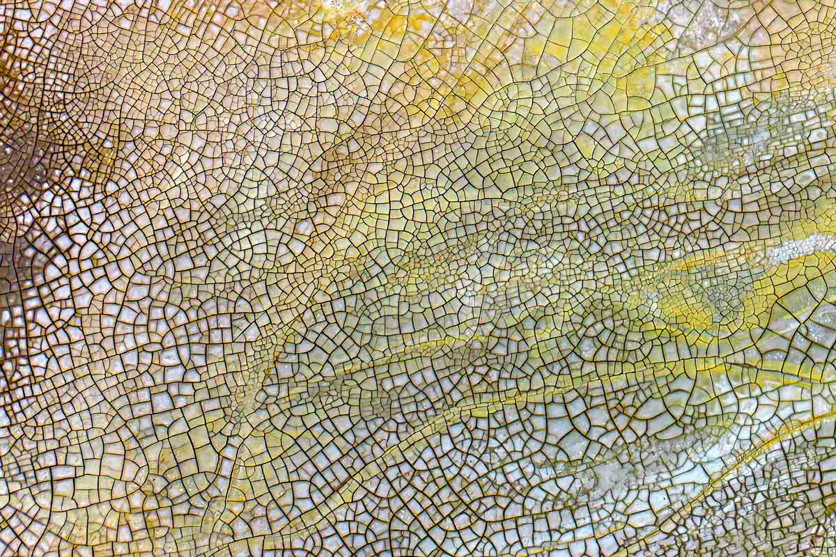 same location, different spot - craquelé 