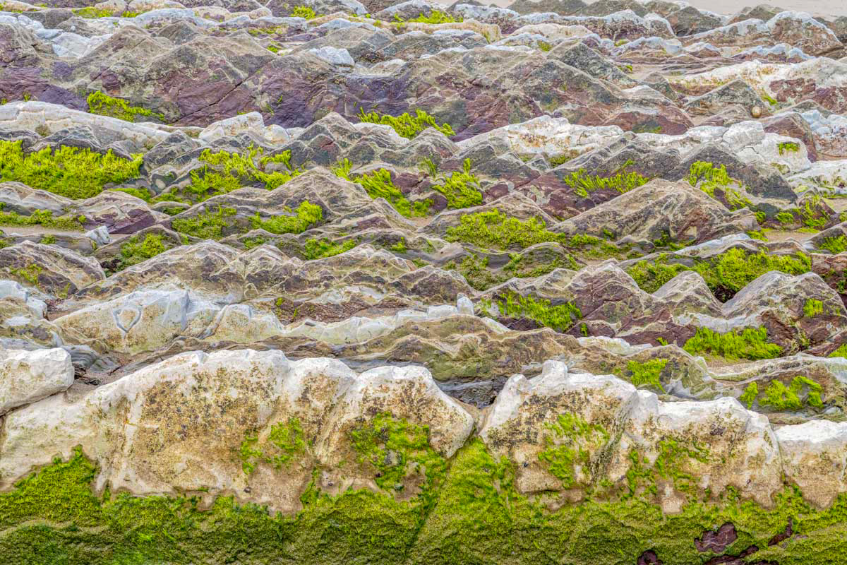 endless layers of flysch leading to the sea