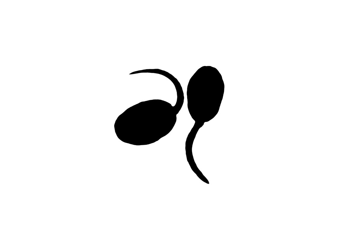 tadpoles