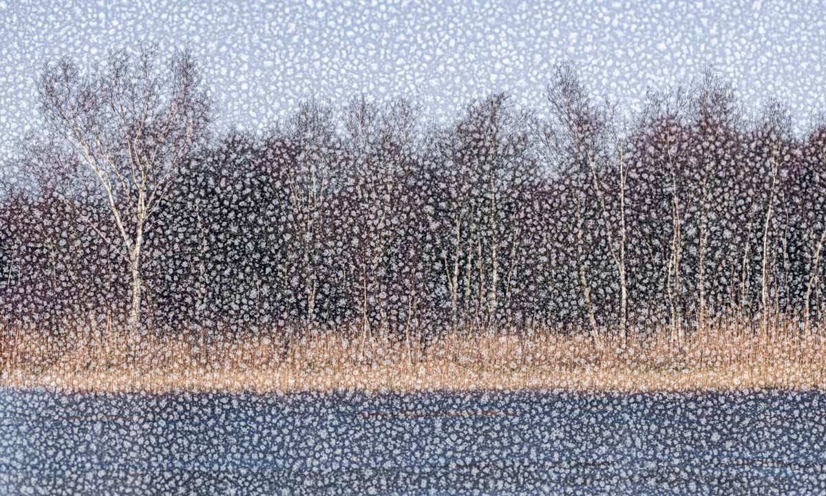 winter fantasy (double exposure)