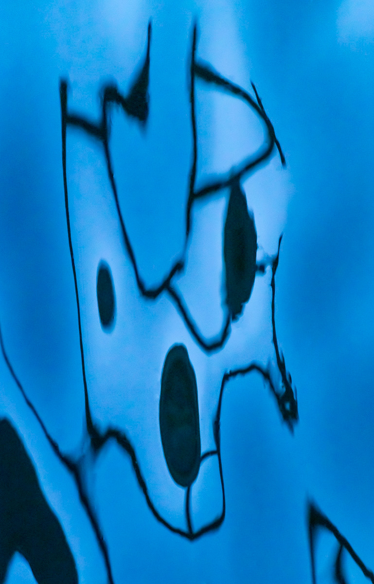 what?!? (city reflections)