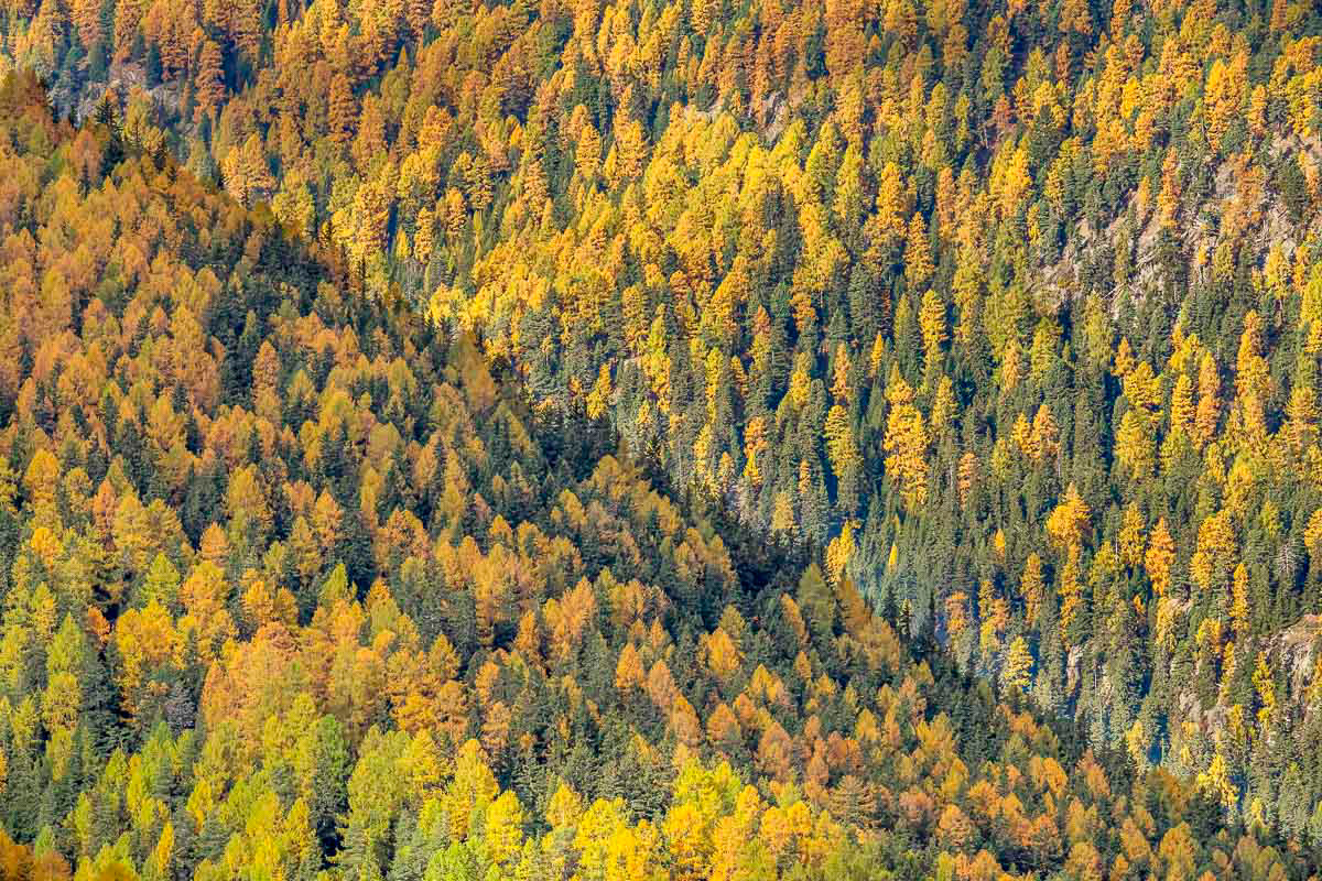 a little bit of sunshine breaking through the clouds