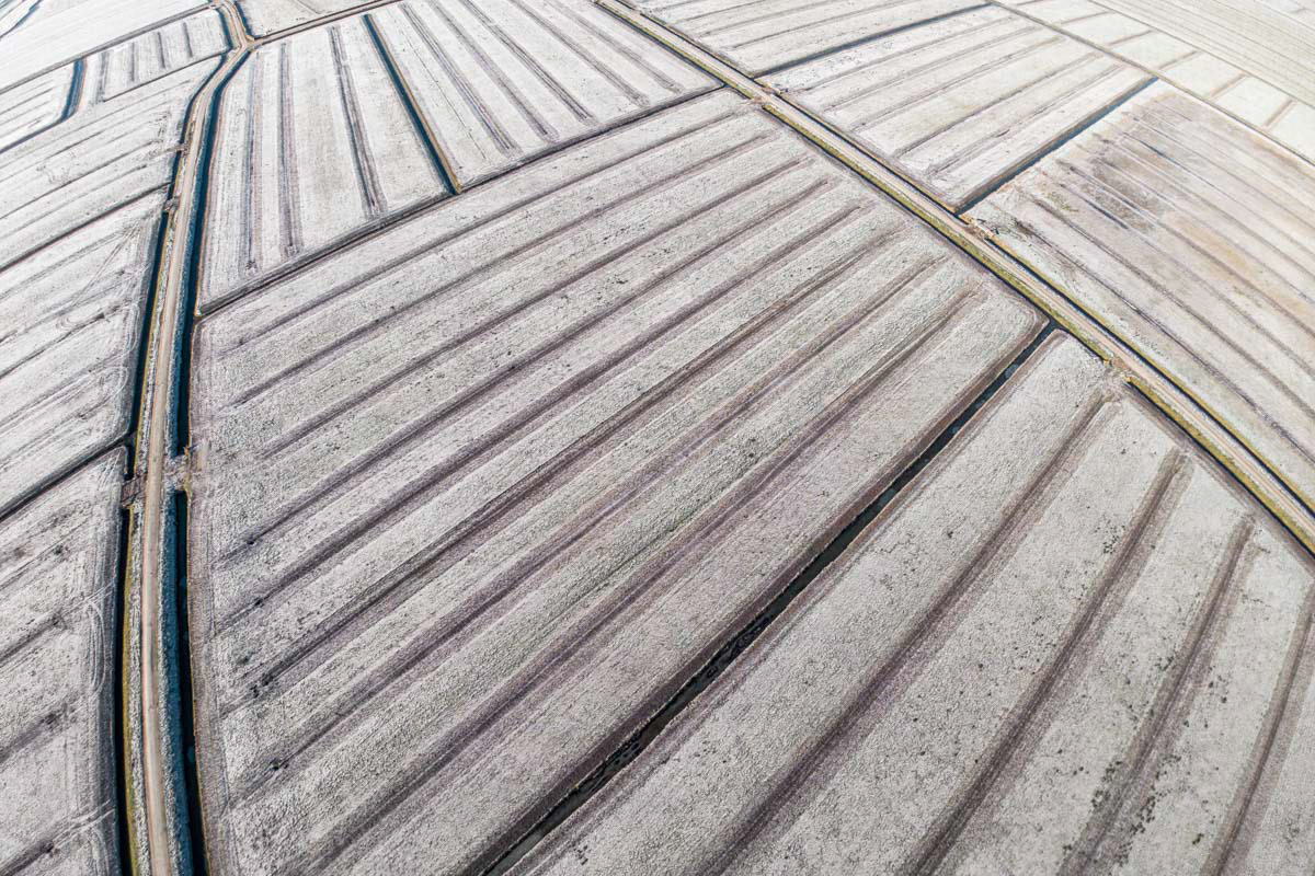 dutch farmland (frozen)