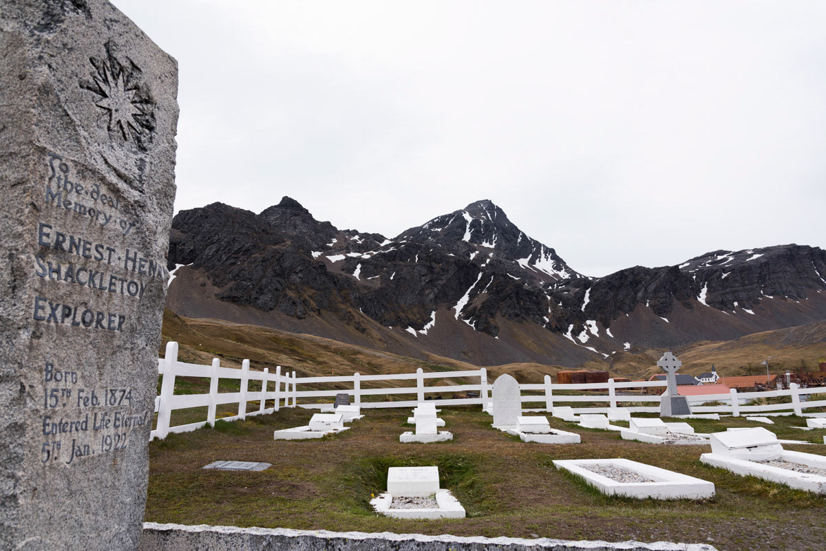 grytviken south georgia