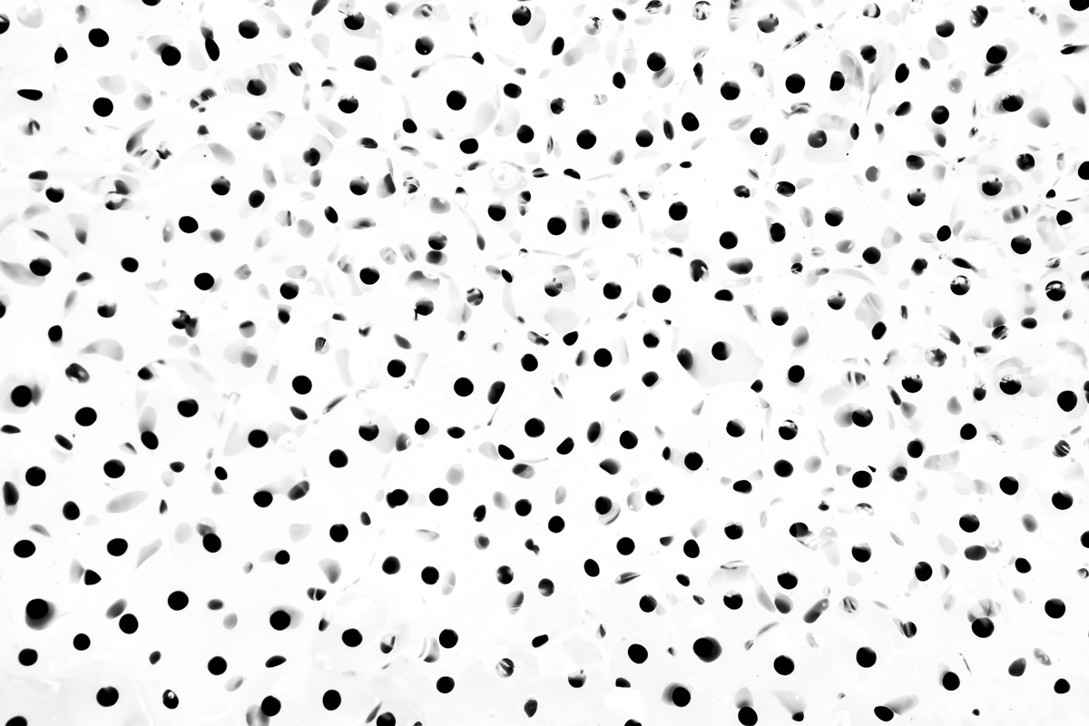 2022: Highly commended black&white category Groene Camera