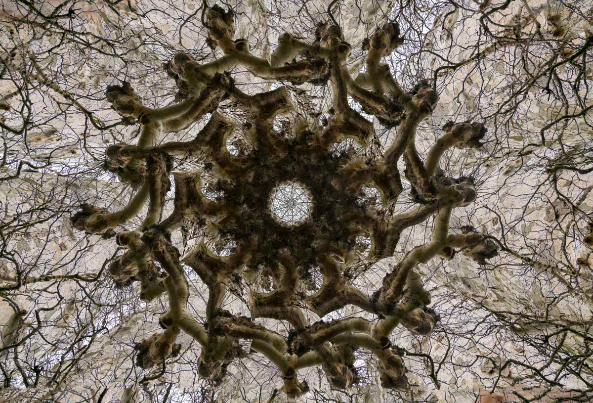 plane but not plain (multiple exposure in winter)