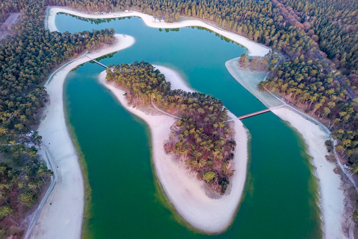 the forest and the lake