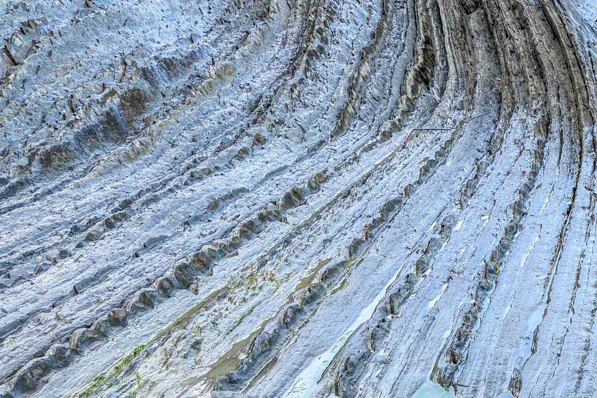  flysch on the floor