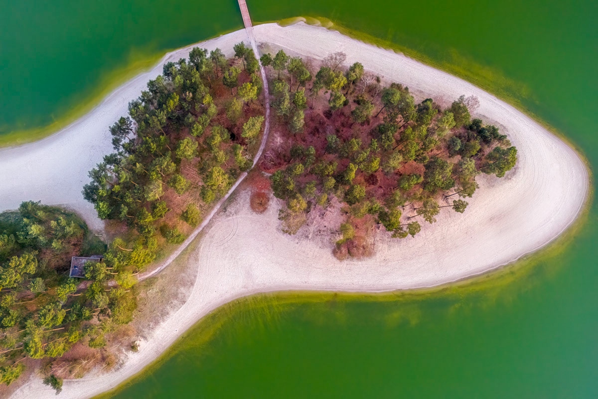the forest and the lake