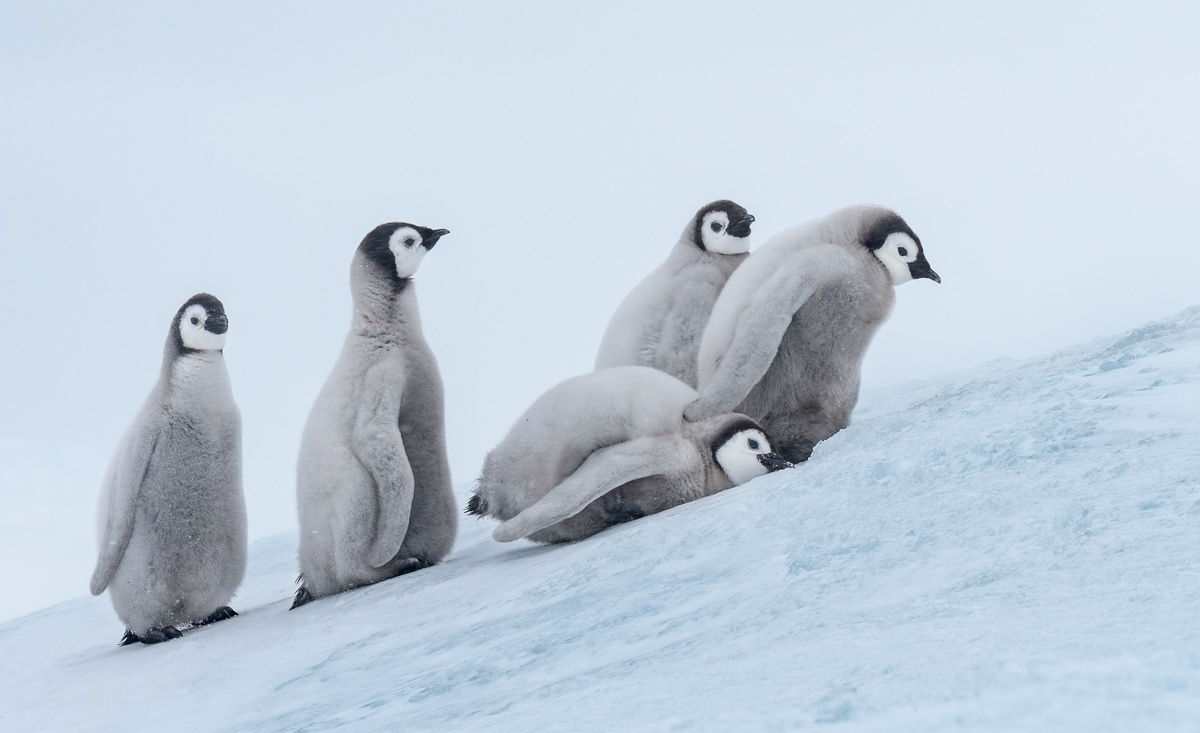 climbing an ice hill