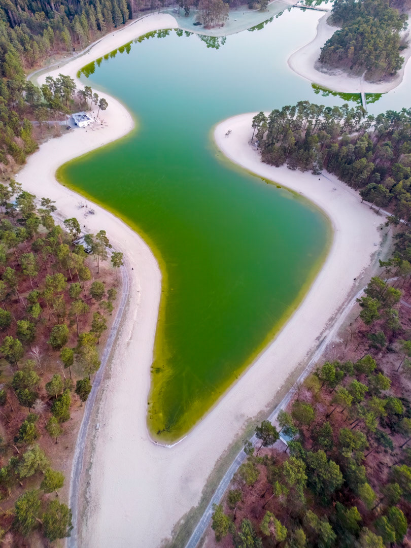 the forest and the lake