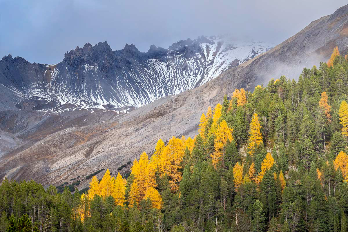 lines, layers and colors