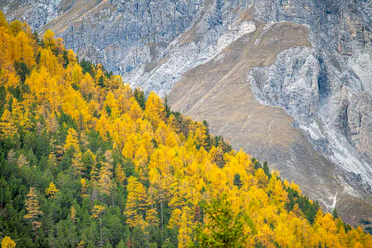 layers, colors and lines