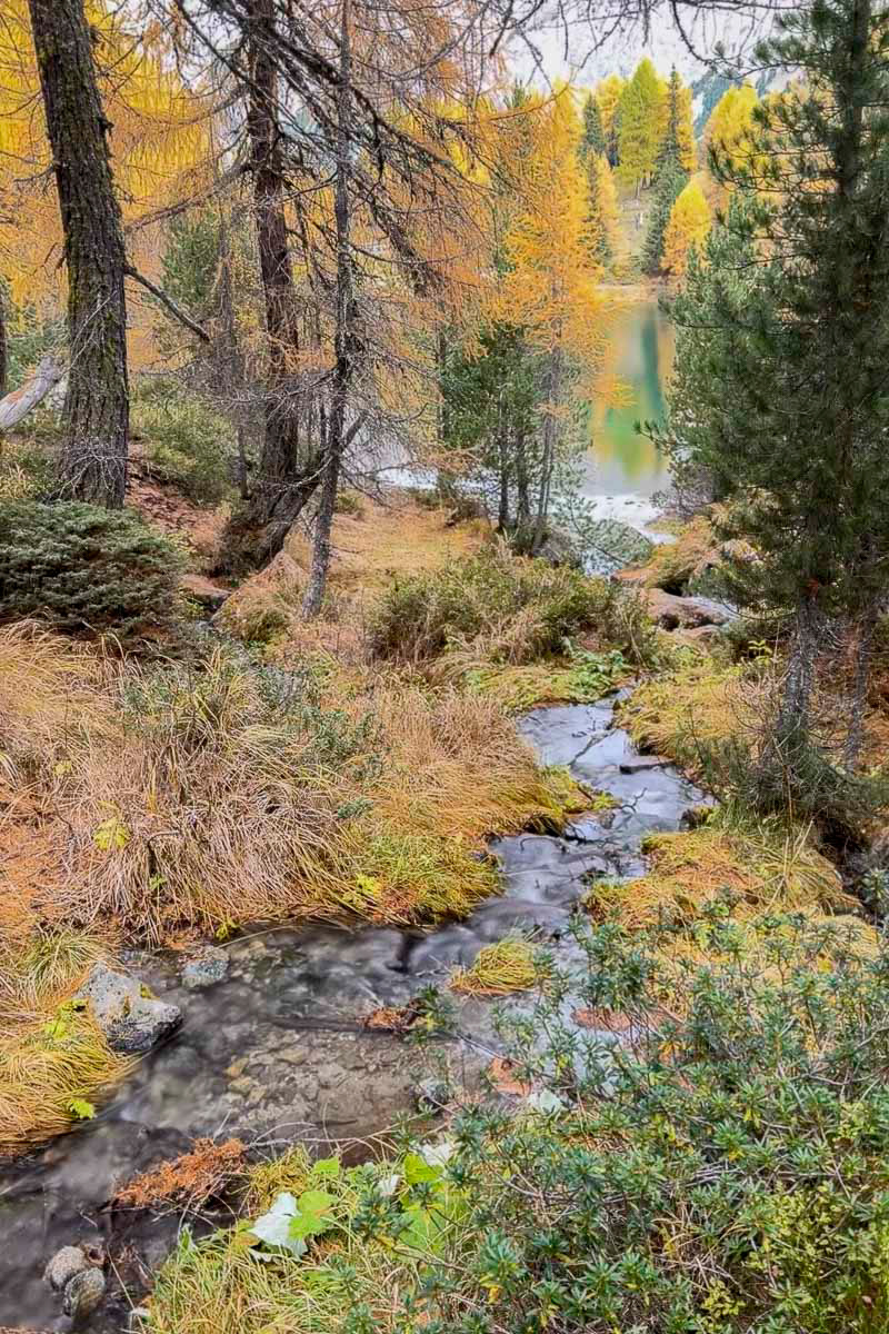walking around the lake