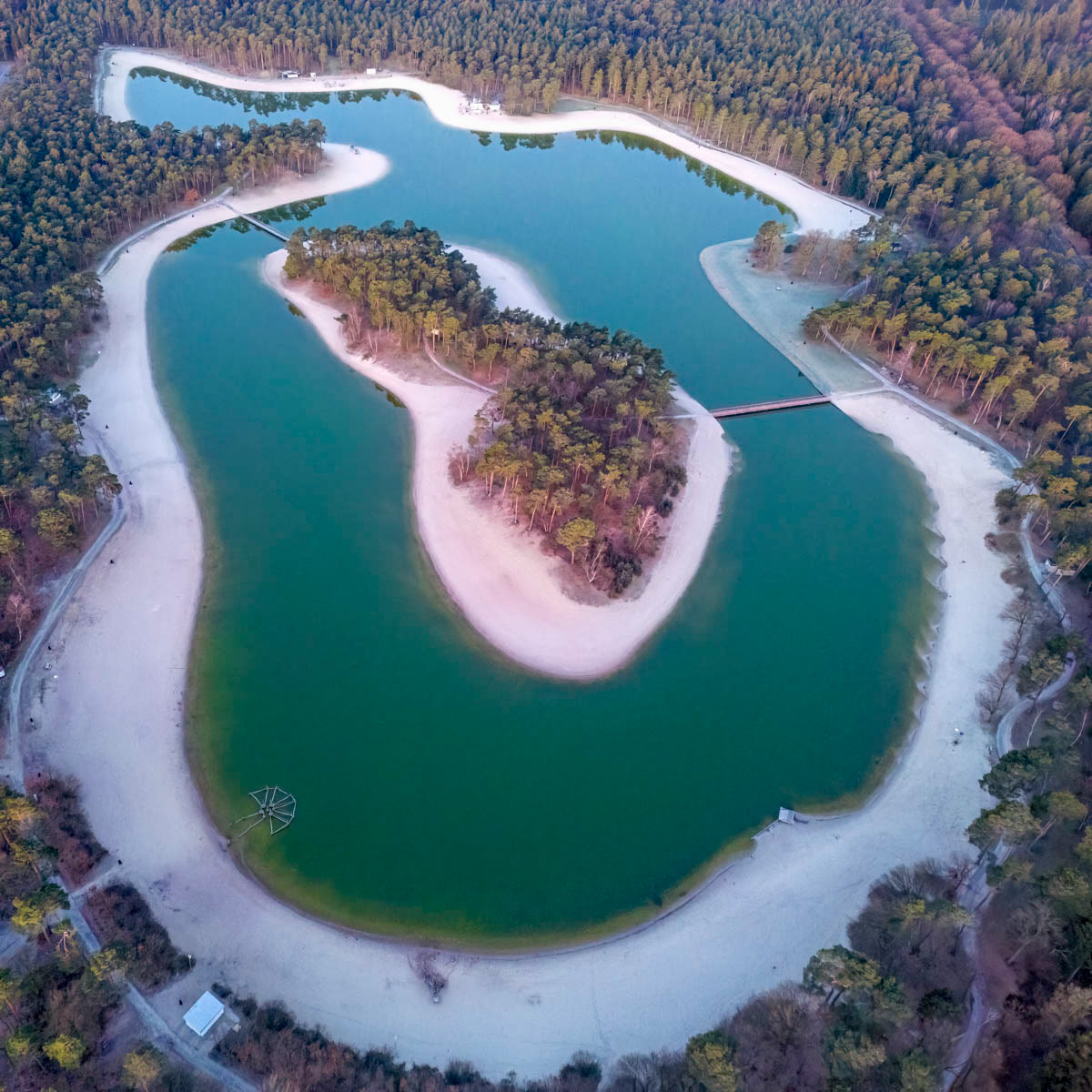 the forest and the lake