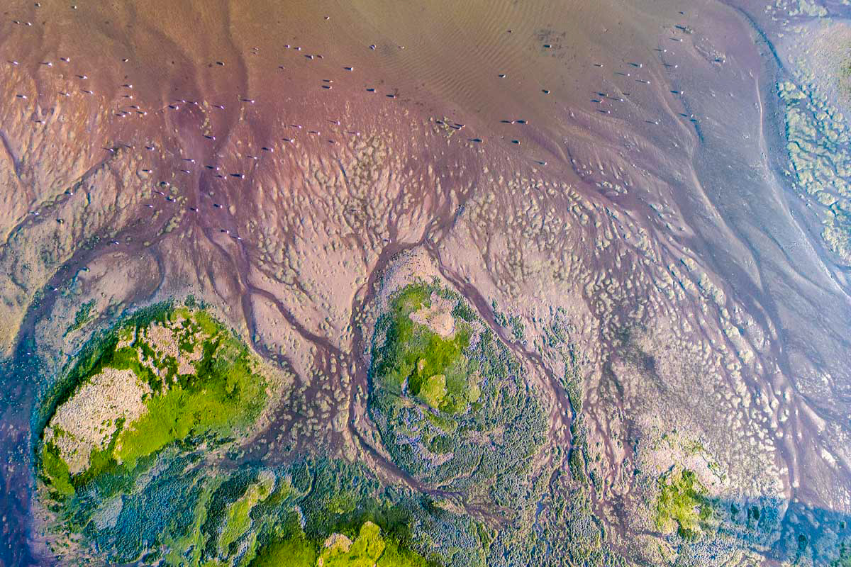 dried up river bed (low tide)