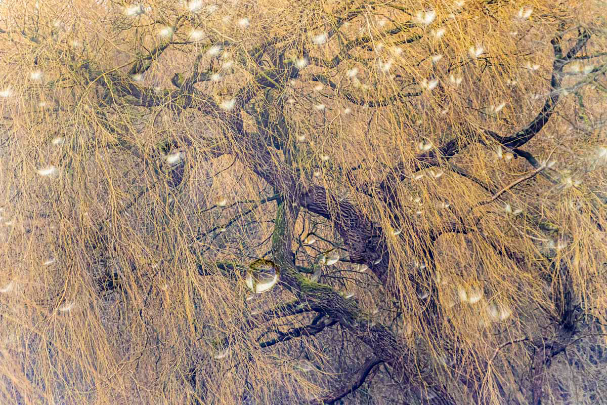 storm and rain in march