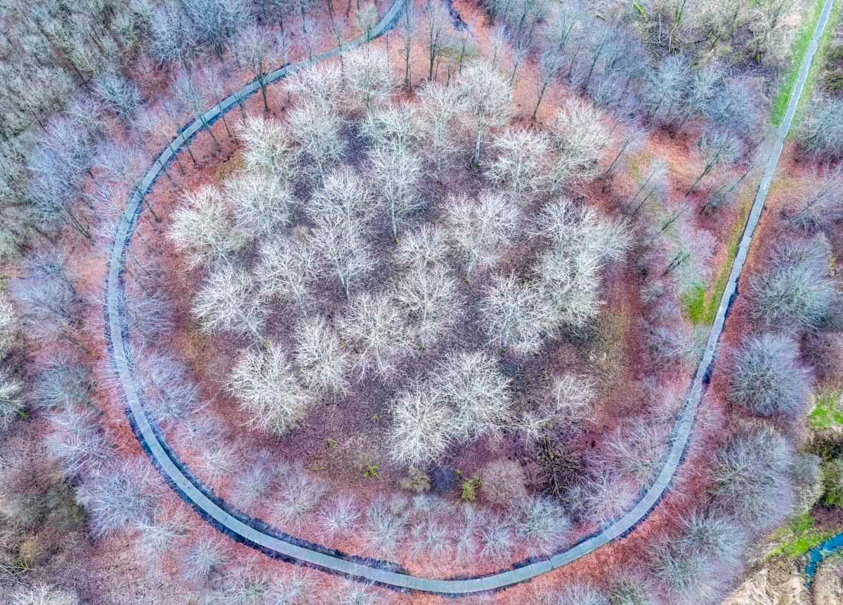 2023: Runner-up Landscape category Groene Camera