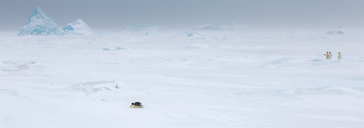 snow storm coming in