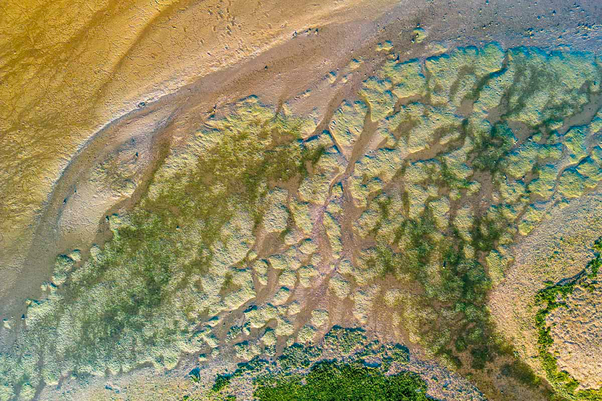 dried up river bed (low tide)