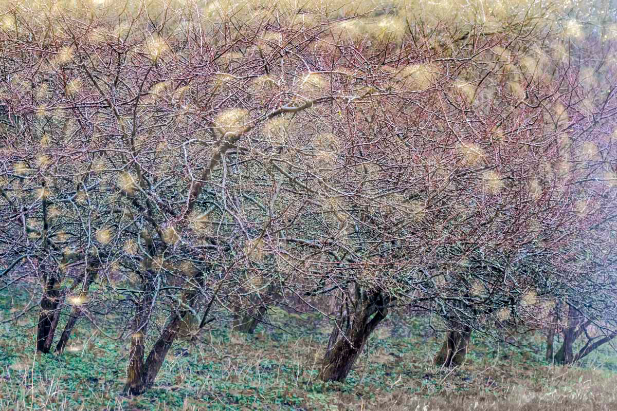 stormy weather in march