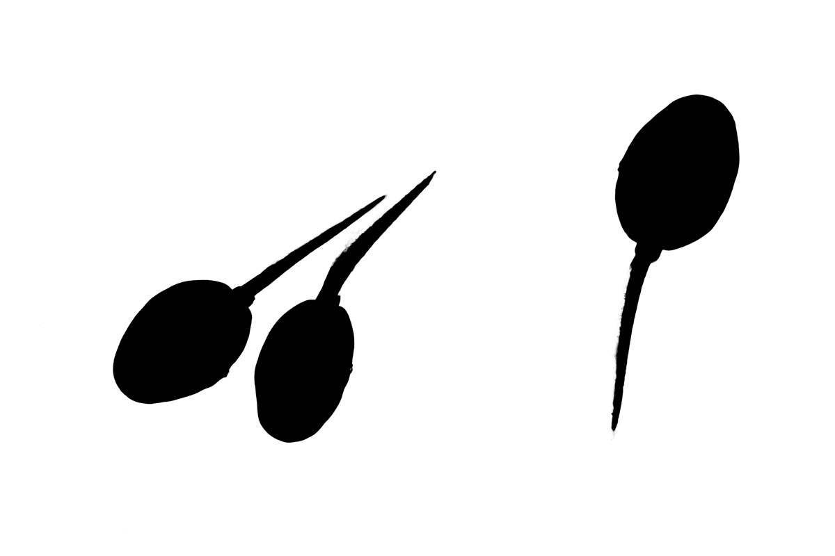 tadpoles